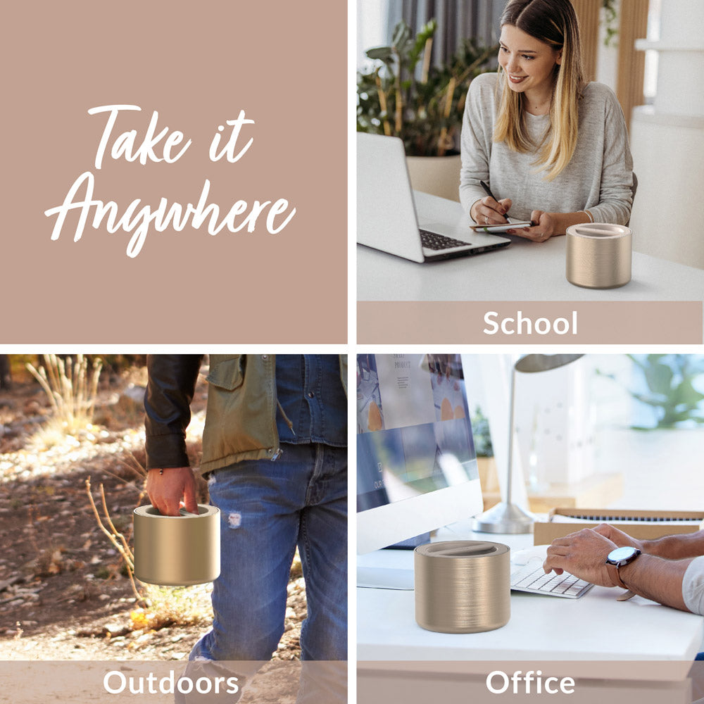 Bentgo® Stainless Steel Insulated Food Container - Gold | Take It Anywhere - School, Outdoors, And Office