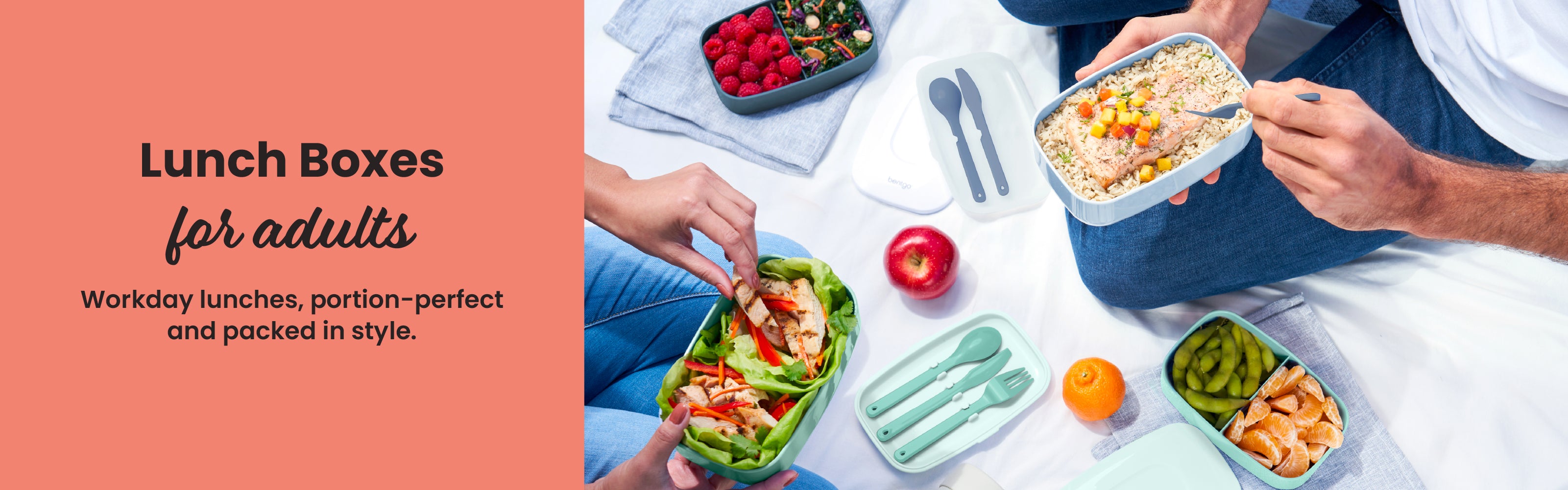 Lunch Boxes for Adults