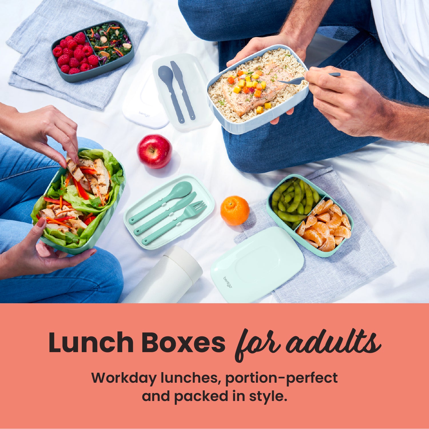 Lunch Boxes for Adults